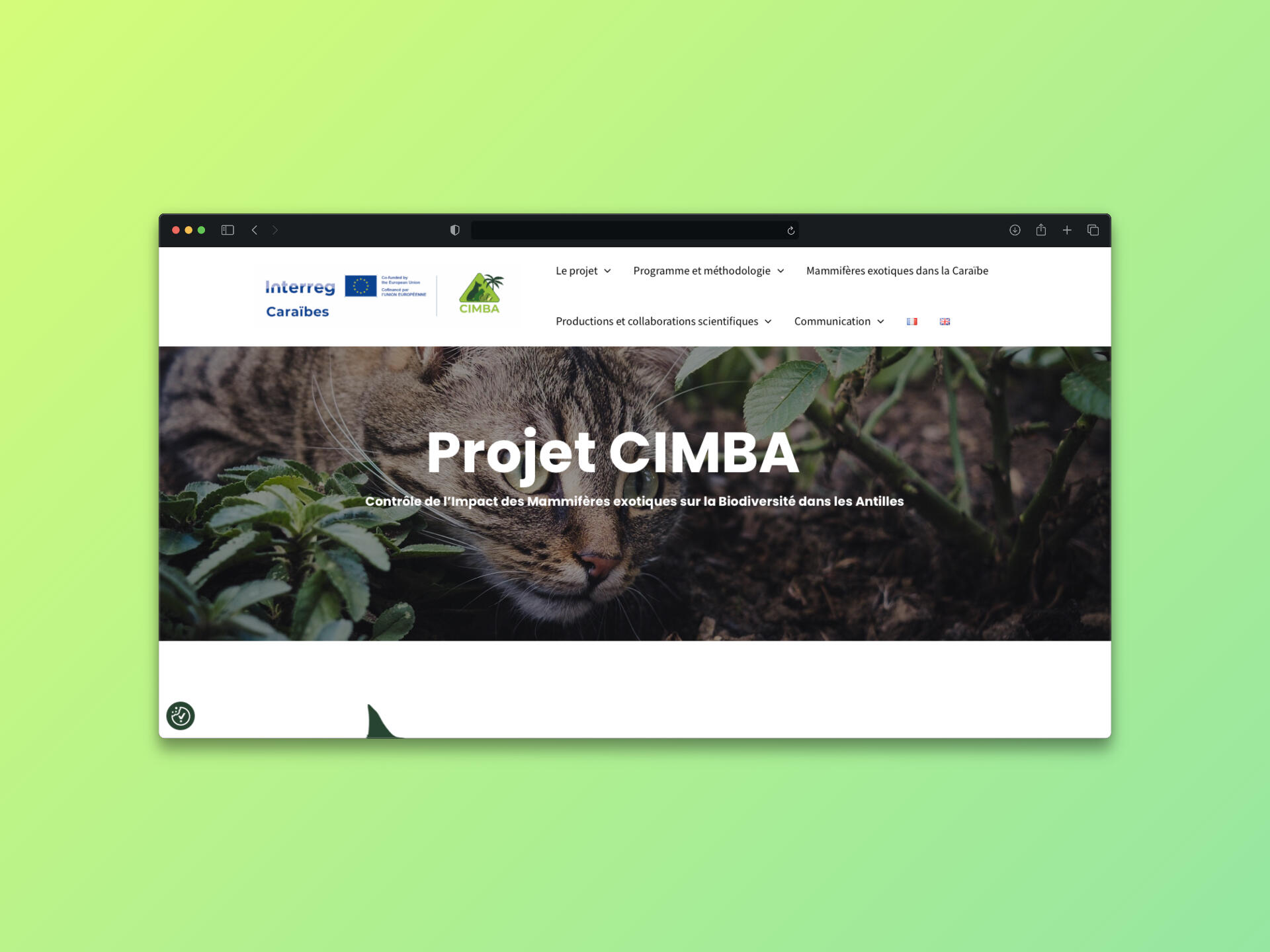 Cimba Project